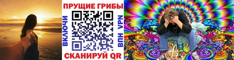 Псилоцибиновые грибы Cubensis  наркошоп  Ладушкин 